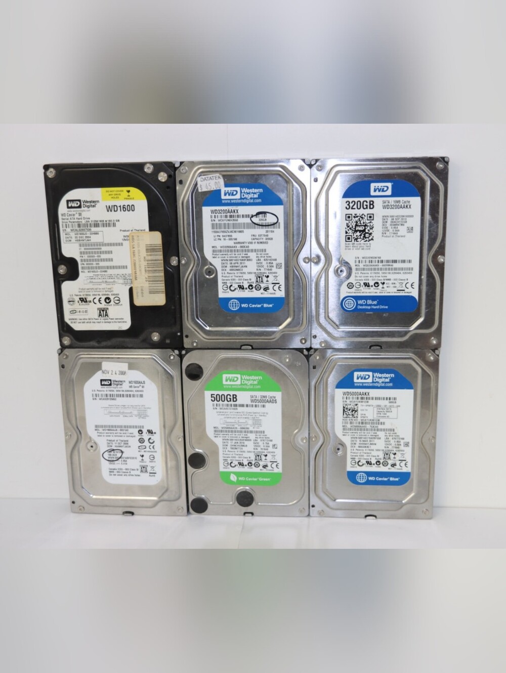 6 Western Digital Hard Drives